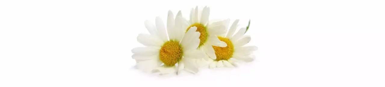 商业|她第一个给成都人带来精油和香氛,大家叫她“香香公主”