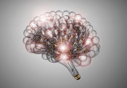 绘制神经系统的生理解剖图,人体骨骼血管神经系统解剖图