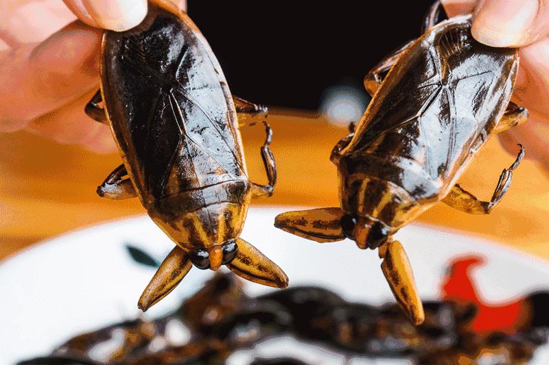 番禺区钟村南站,番禺钟村站