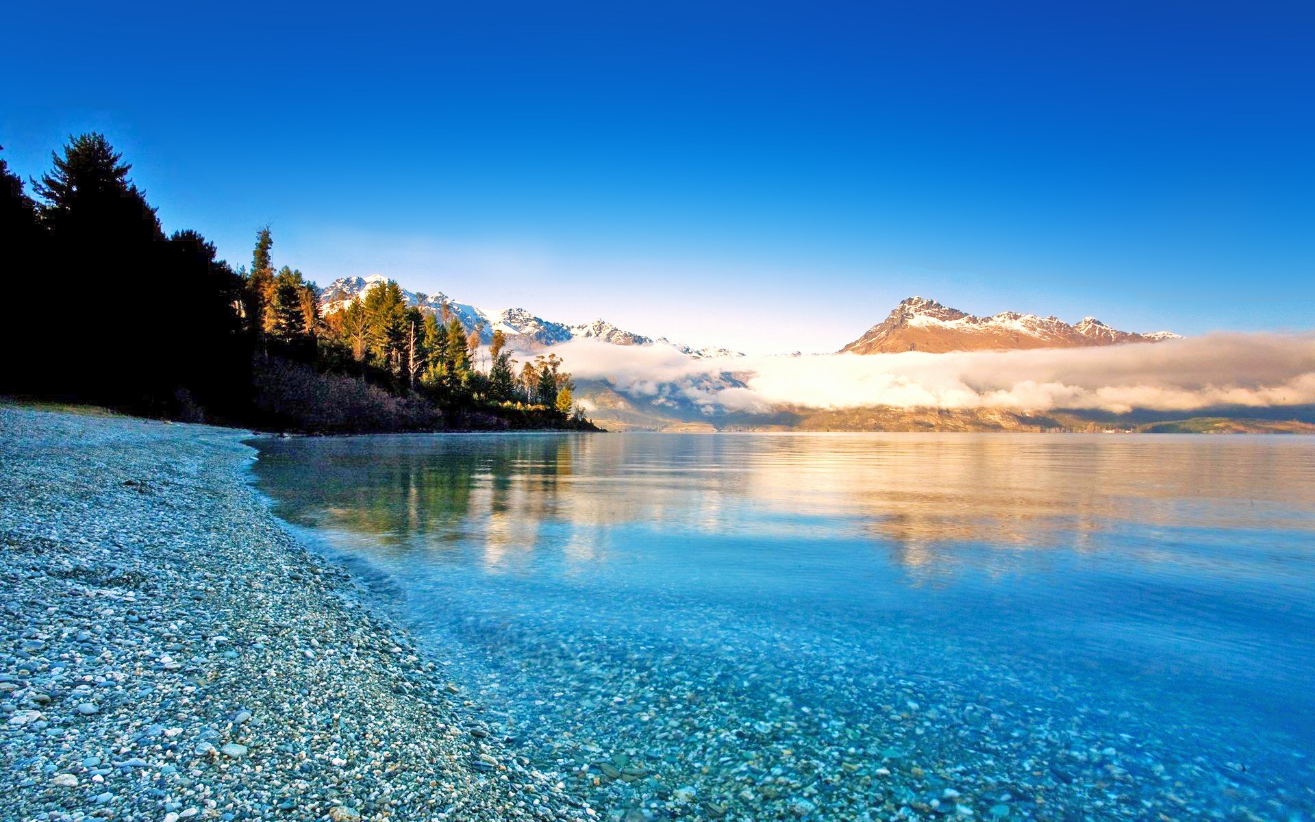 生肖牛最佳婚配属相是哪几个,生肖牛的最佳婚配和命格