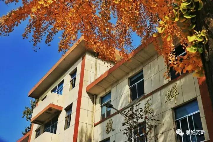 博山区银杏树,博山源泉淄博二中