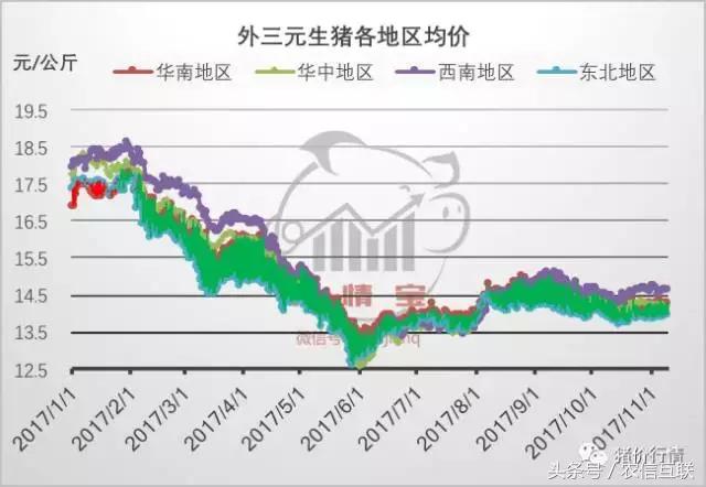养猪一年能赚多少钱,2019年养猪挣500亿