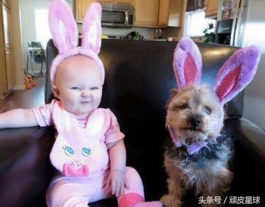 有宝宝到底能不能养宠物,家里有宝宝可以养宠物吗