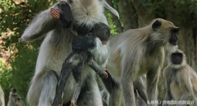 这34个间谍，每天只干一件事：*窥偷**！还拍成电影全球上映？