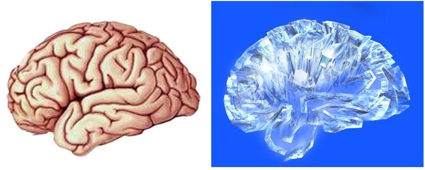 爱因斯坦大脑与众不同的奥秘所在,爱因斯坦大脑为什么比较聪明
