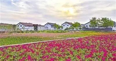 秦皇岛最新游玩攻略,秦皇岛有哪些旅游胜地