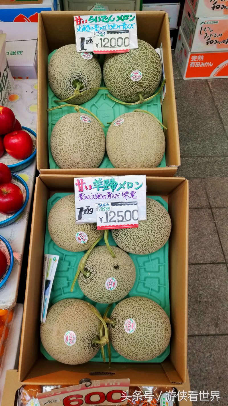 札幌狸小路,北海道大通公园