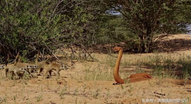 这34个间谍，每天只干一件事：*窥偷**！还拍成电影全球上映？