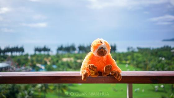 三亚必买10件礼物,三亚免税城购物攻略