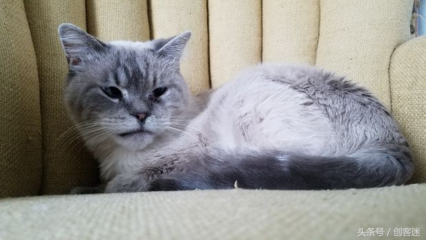 制作简易喷沙除锈机，低成本不到30元，除锈效果非常好