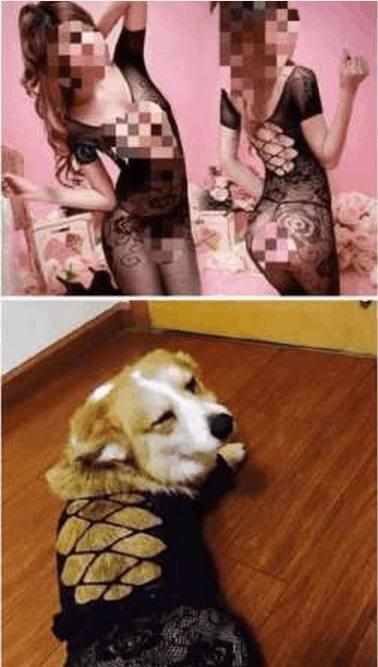 坑人的淘宝买家秀,淘宝奇葩买家卖家秀