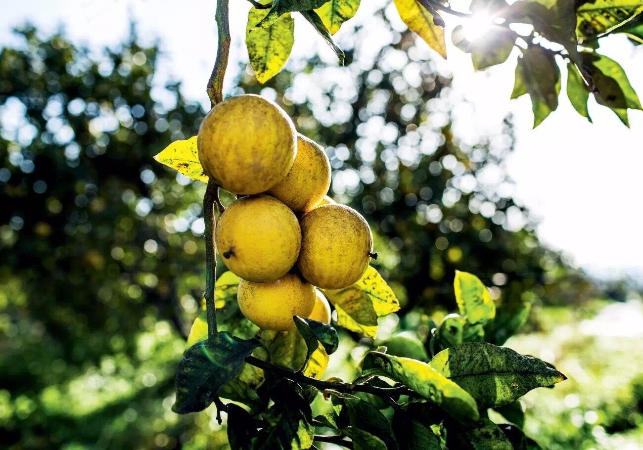 萨维尔琨—亮相2017年第3届北京微商博览会~