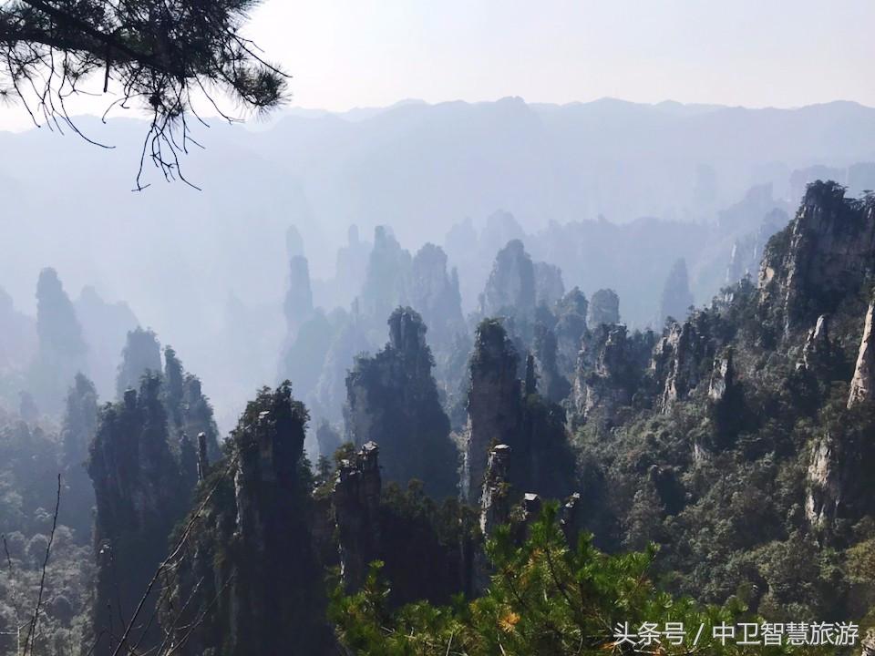 再过9天，中卫人就能休假133天！然而除夕前一天竟然是……