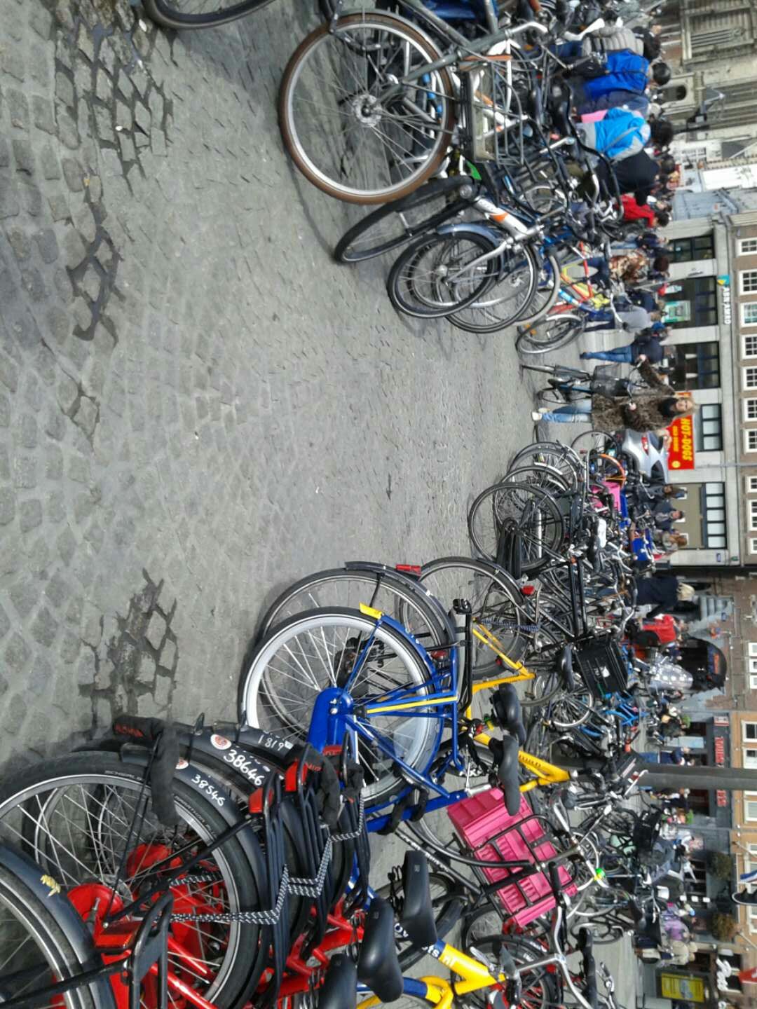 阿姆斯特丹共享单车王国 (自行车冠军阿姆斯特丹)