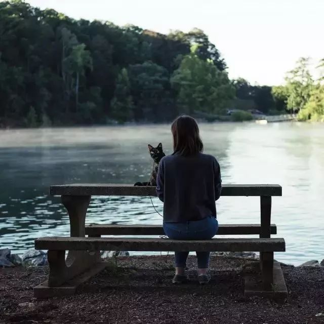 玳瑁猫最丑的猫,玳瑁猫长得好凶