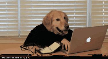 马尼拉菲律宾自由行 (2019菲律宾马尼拉游记)