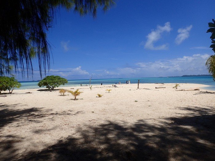 帕劳旅行全攻略,帕劳旅行攻略最佳方案