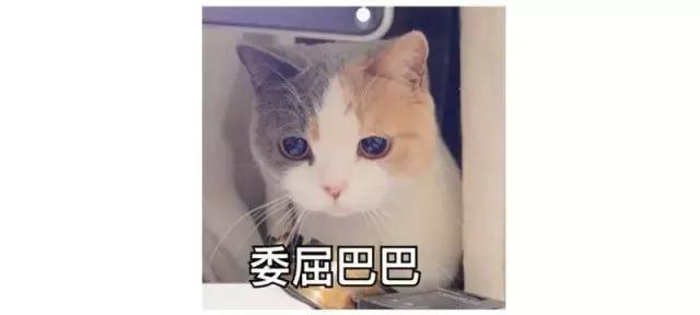 淘宝月销3万的化妆棉，真人试用我觉得不行……