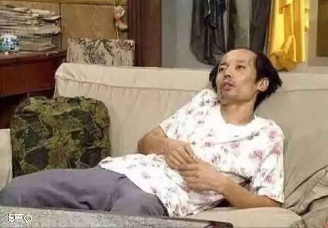 玳瑁猫最丑的猫,玳瑁猫长得好凶