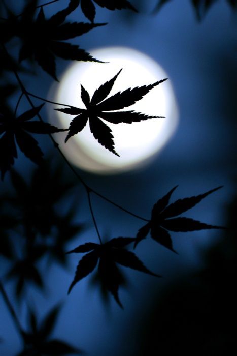 最好的相遇是久别重逢电视剧,最好的相遇是久别重逢的句子