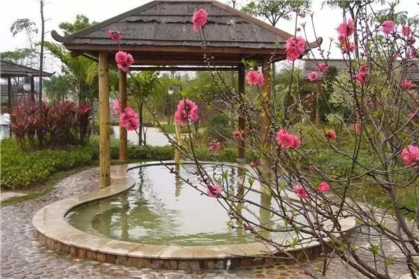 最新出炉的广东十大温泉排行榜,广东最好的隐奢温泉