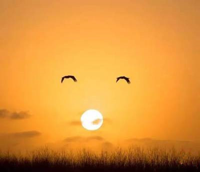 笠翁对韵上下卷全文朗读视频,笠翁对韵上下卷朗诵