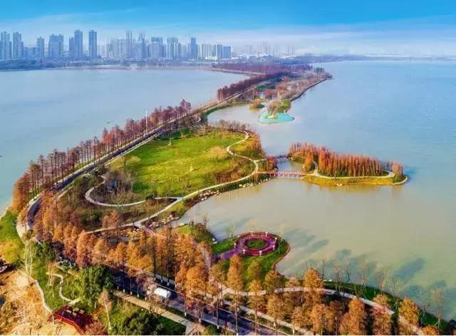 武汉地铁早高峰4号线,武汉地铁红色专列