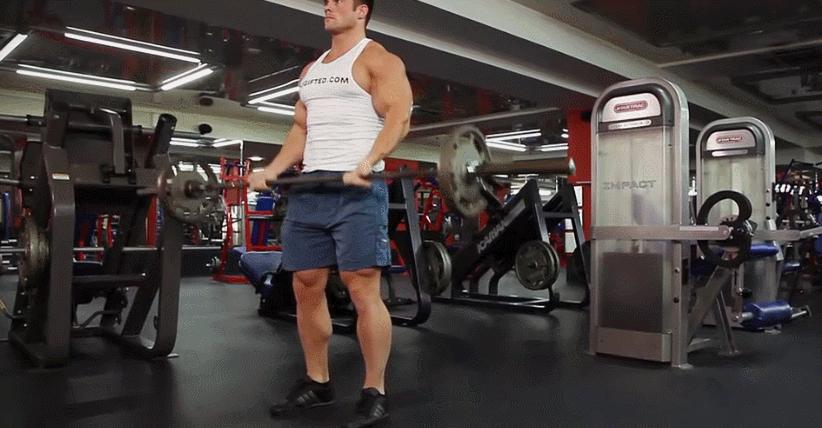 7个基础健身动作训练计划,零基础健身计划动作要领