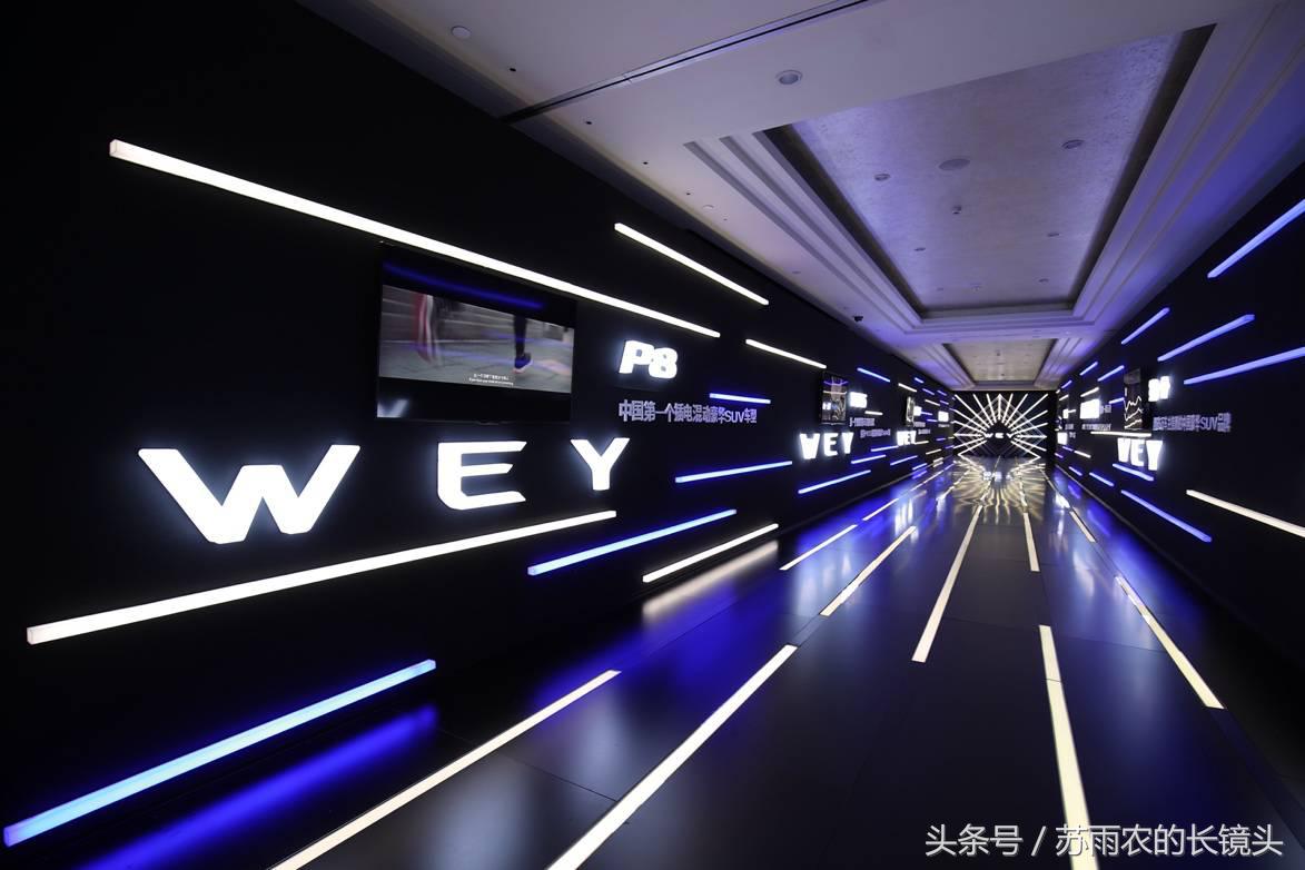 wey新能源市场,wey入门豪华suv