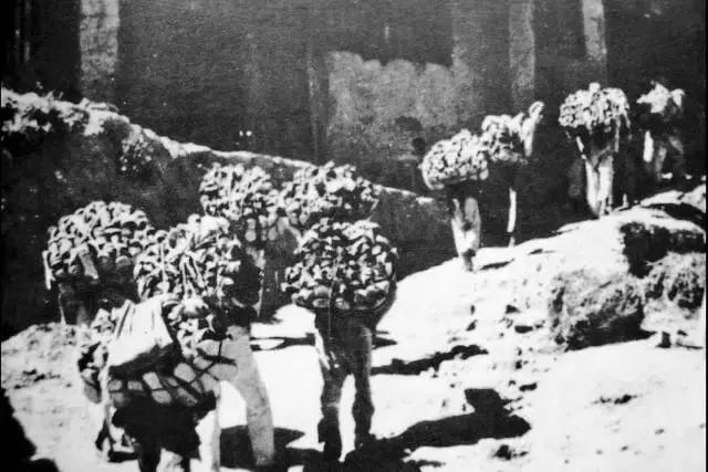 真实国军军官军服,八路军和新四军的军服