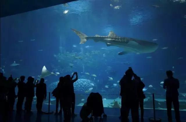 广州长隆游玩攻略最新,珠海长隆和广州长隆一起玩的攻略