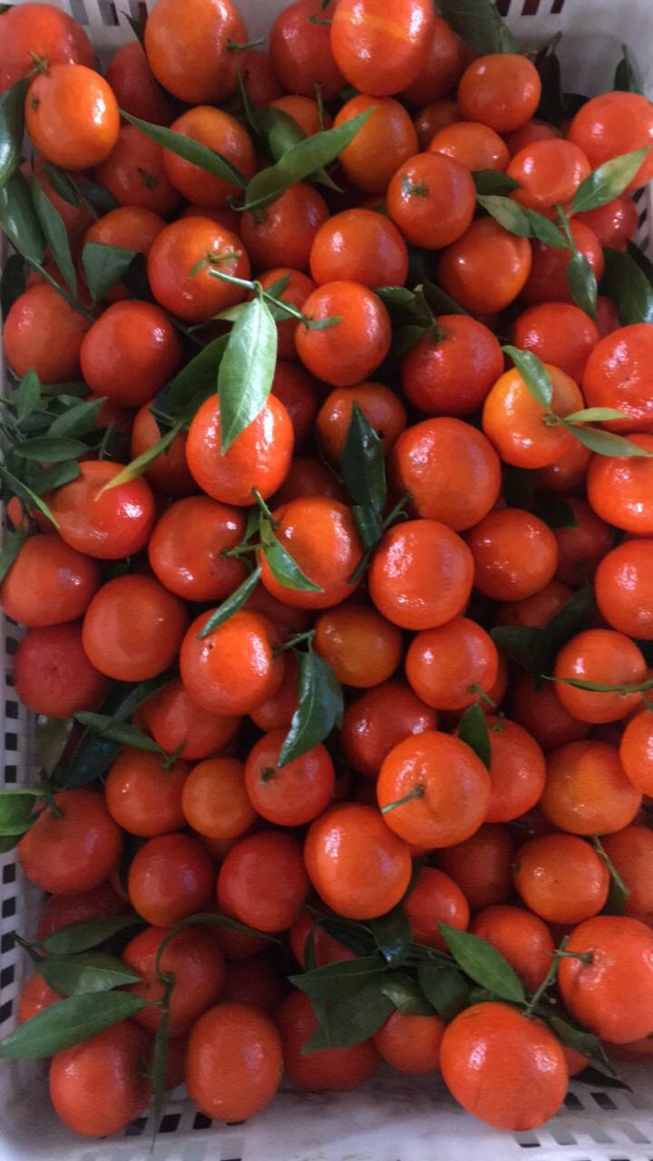 80后卖橘子,卖橘子案例