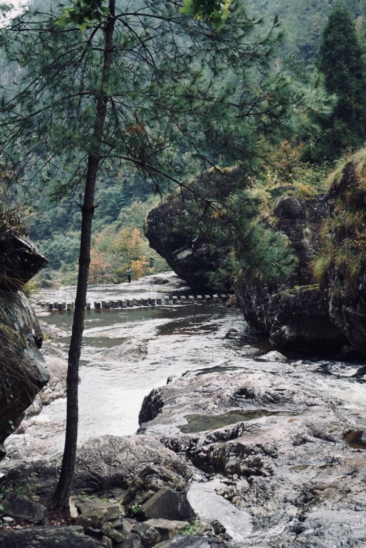 三八一日游温州最佳去处,温州三八游玩