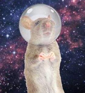 进入太空中国的宇航员排名,最近进入太空的宇航员有哪些