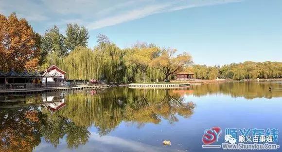 北京顺义最美的景区,顺义最美的国家森林公园