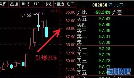 年报前瞻性研究(三)——押宝金陵体育