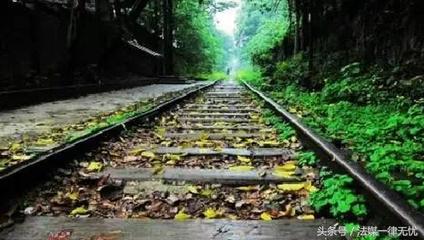 川外与西政哪个好,西政在四川影响大吗