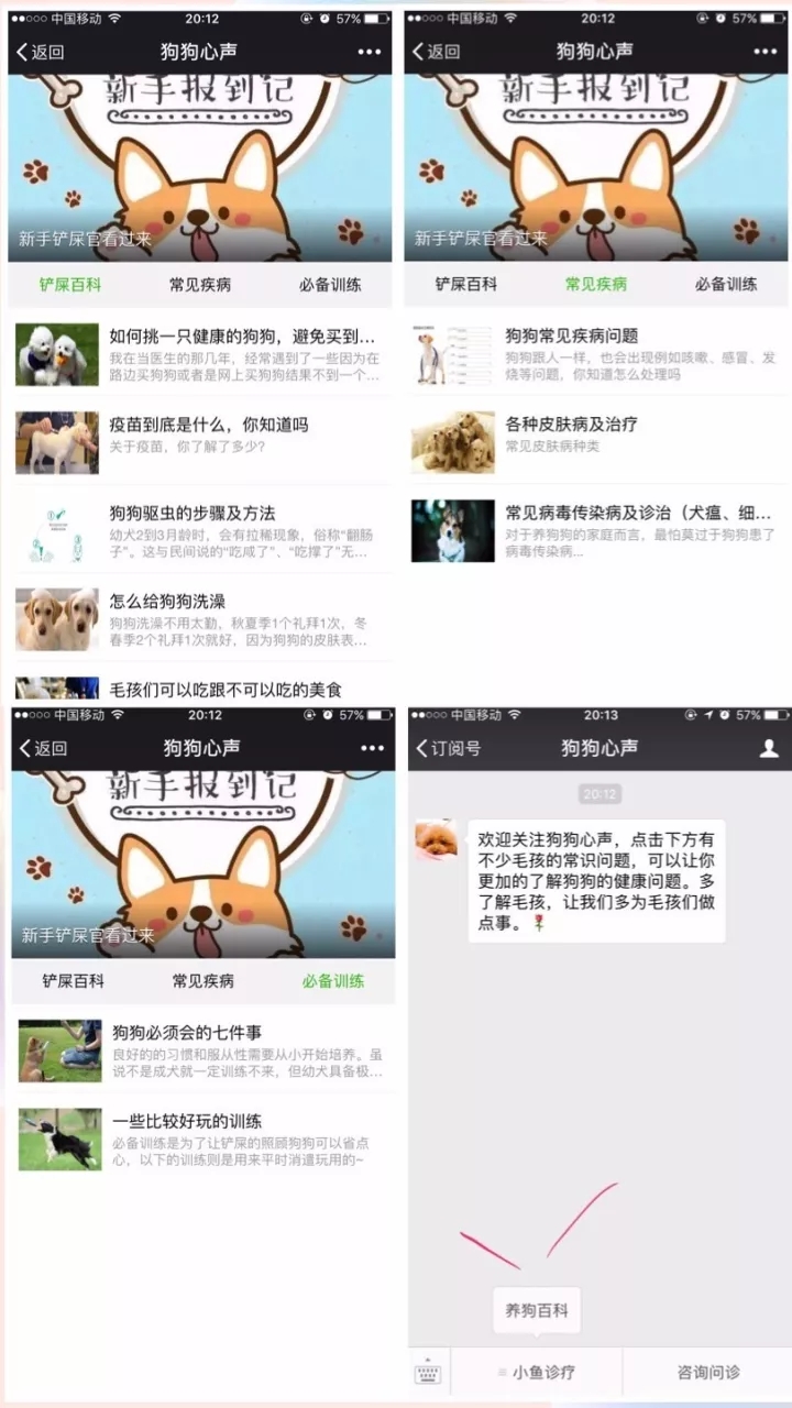 狗狗中毒后多久才能度过危险期,狗狗轻微食物中毒怎么办