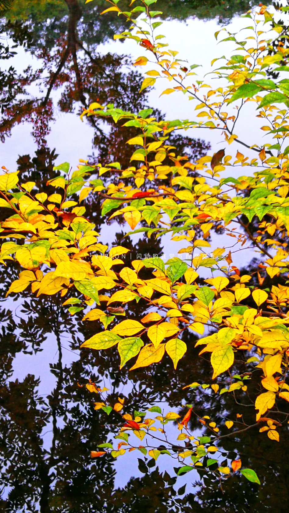 去东京玩用什么攻略,东京攻略东京