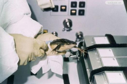 最近进入太空的宇航员有哪些,去太空的宇航员都有哪些