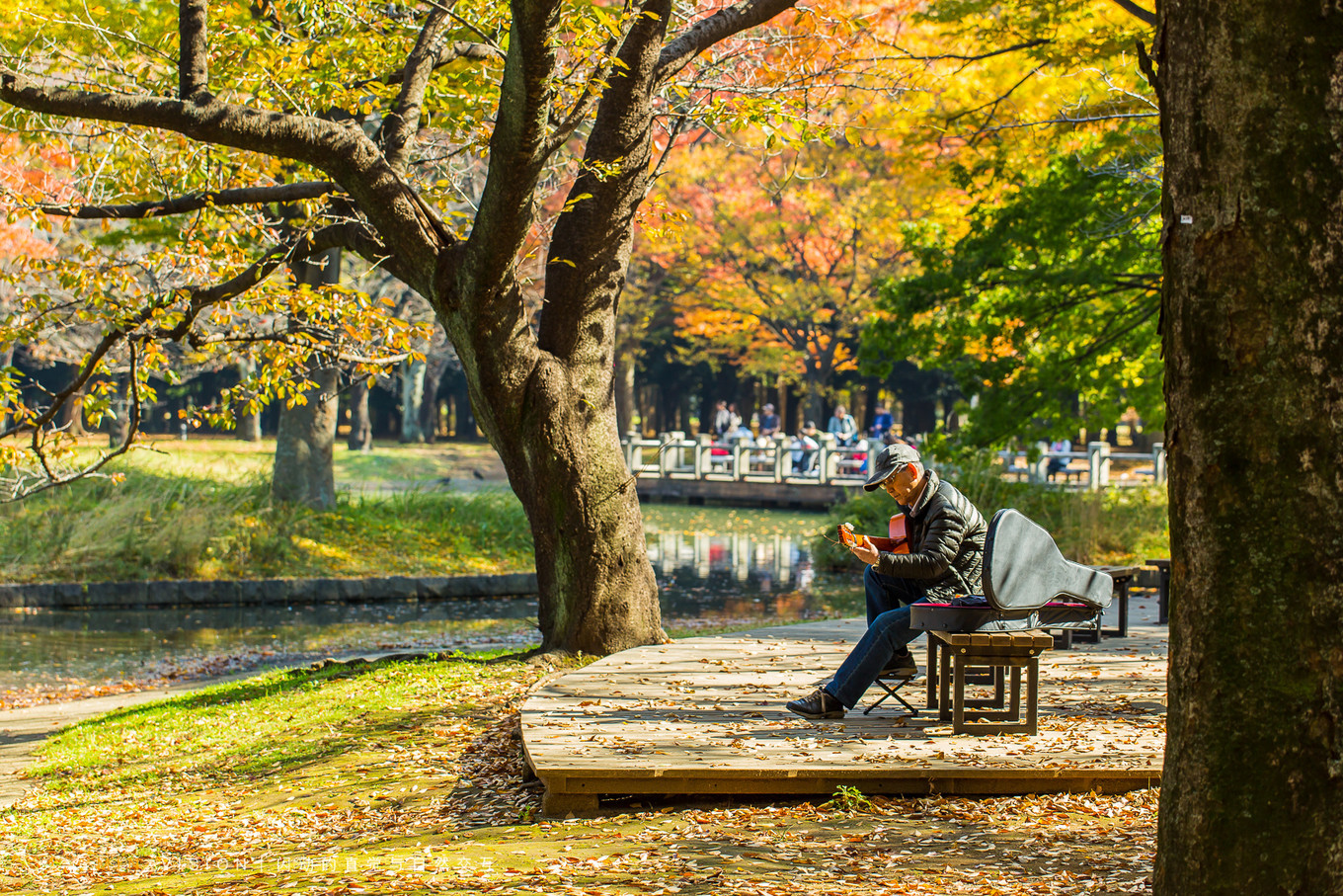 去东京玩用什么攻略,东京攻略东京