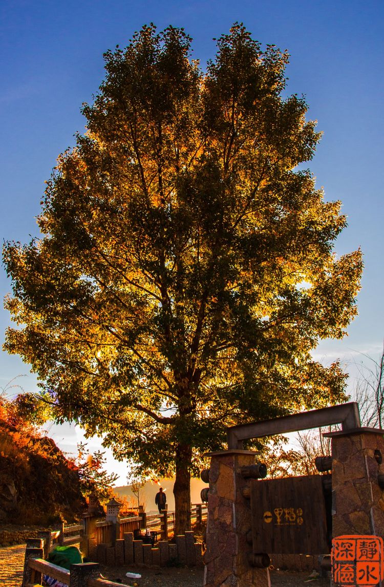 泸沽湖的静谧之美,美丽而又神秘的泸沽湖
