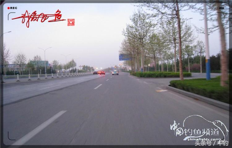 朋友相聚钓罗非,好友们相约一起钓鱼视频