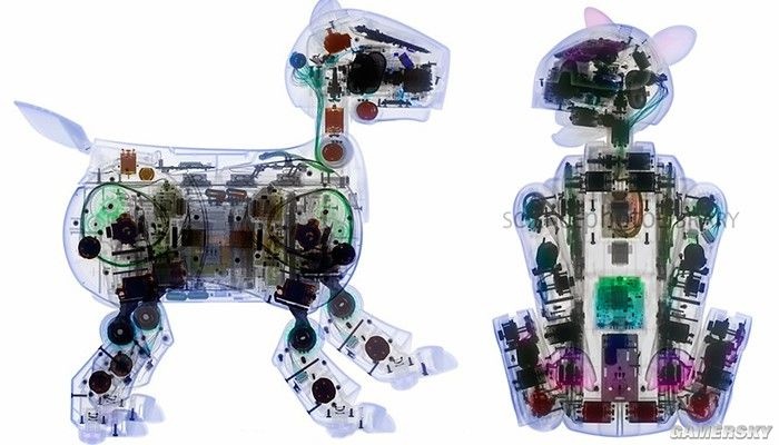 比起在座的诸位它才是一条真“索狗”