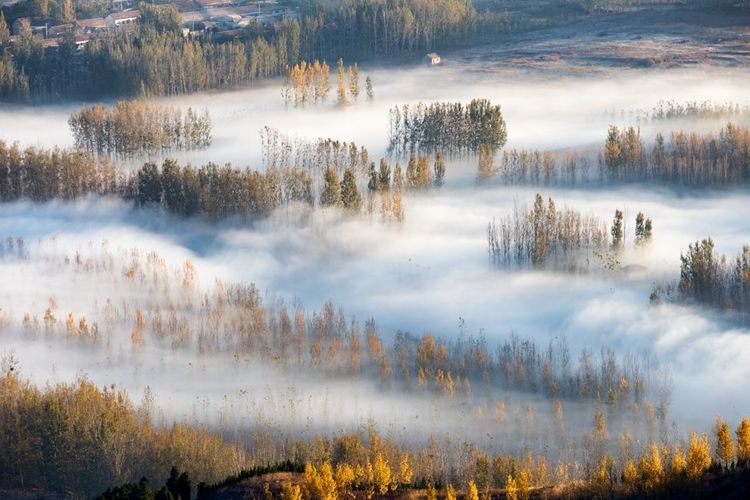 金秋沂南,诗意流淌有那么一群爱美的人,把秋季沂南送到你面前