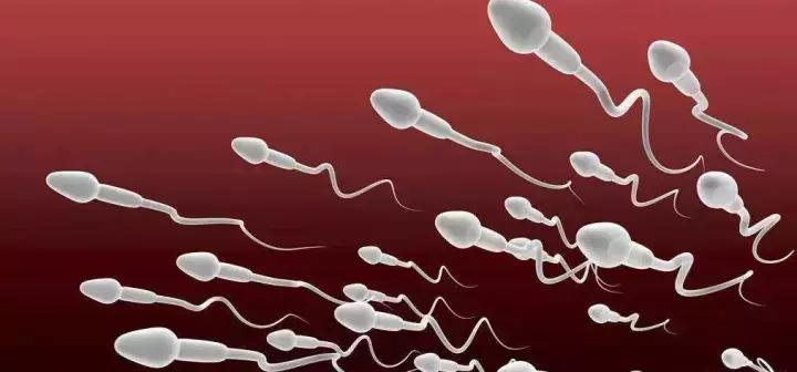 拿什么拯救你我的小孩电视剧,拿什么拯救你我的童年