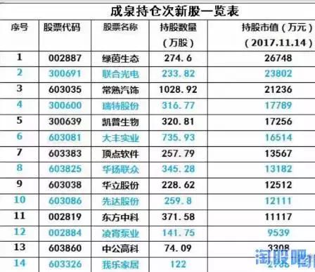成泉系操作风格,成泉未来5年规划