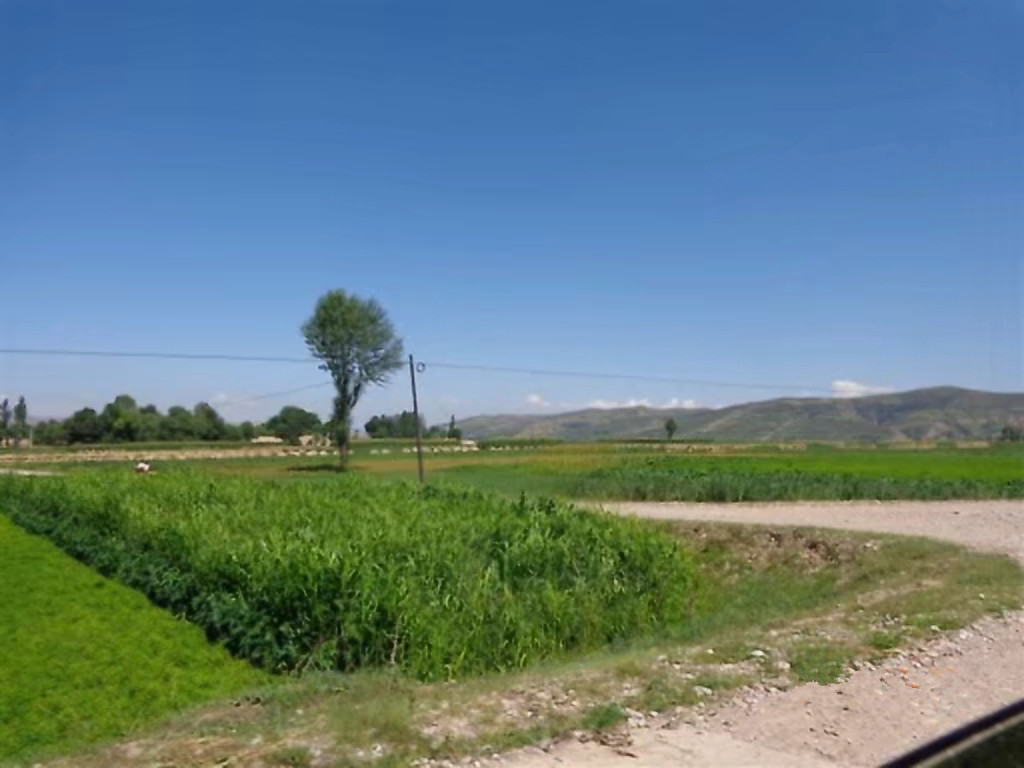 甘肃赏田园风光感受乡村魅力,甘肃渭源风景图片大全