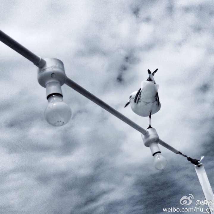 胡歌唱歌多好听,胡歌唱歌很好听吗