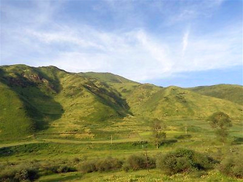 甘肃赏田园风光感受乡村魅力,甘肃渭源风景图片大全